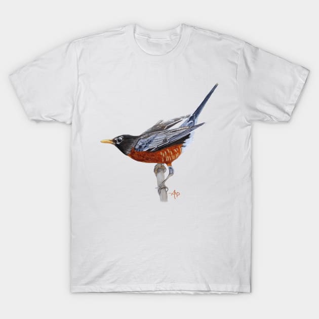 American Robin T-Shirt by ampomata